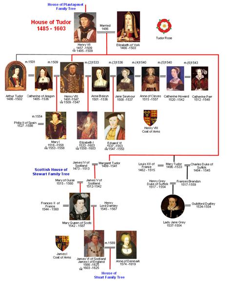 genealogia tudor|queens of tudor family tree.